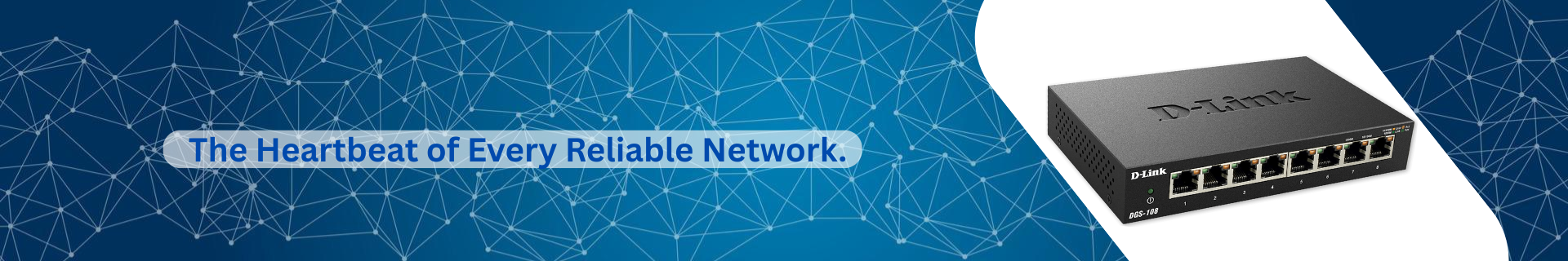 Networking Switch