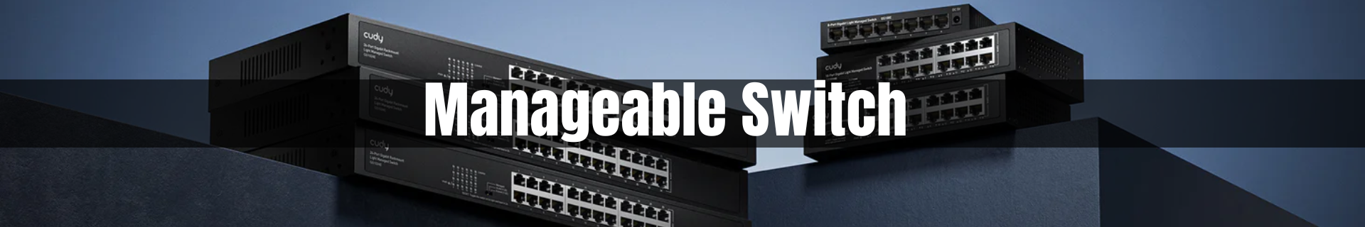 Manageable Switch